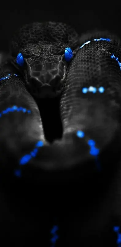 Blue Neon Snake