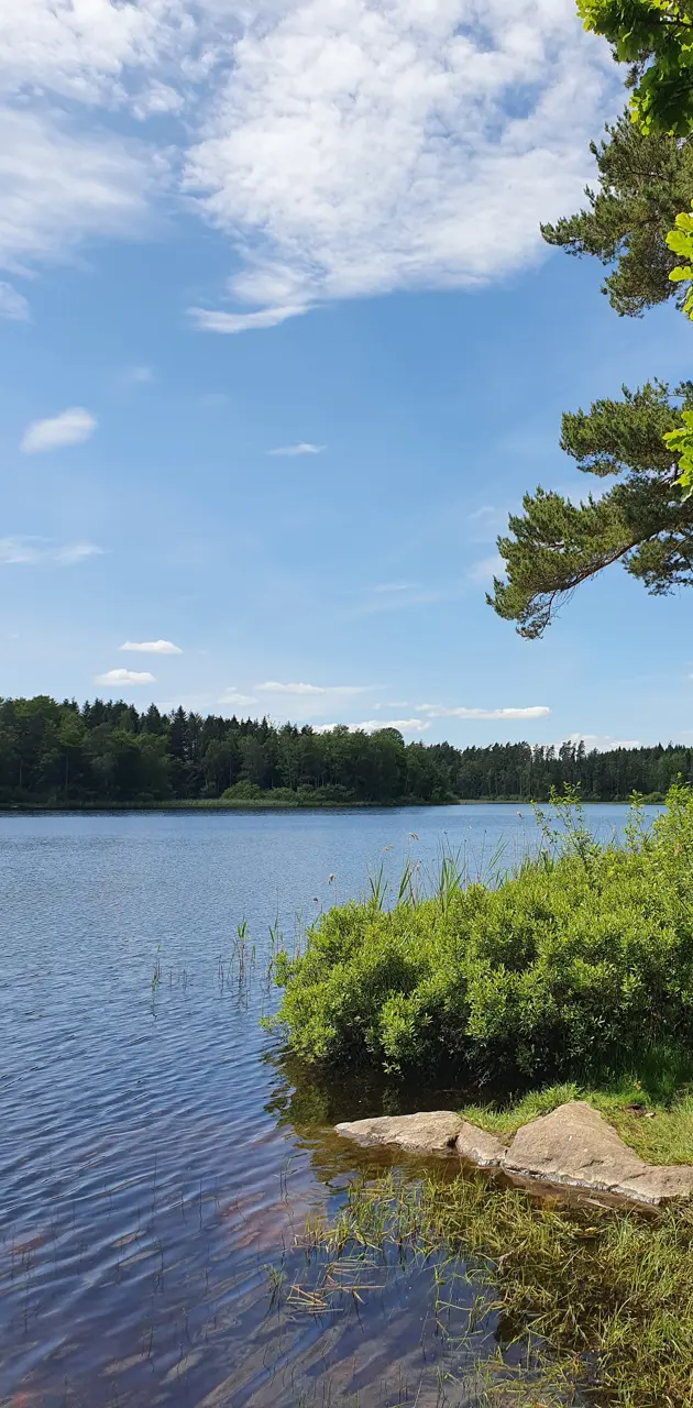 Swedish nature