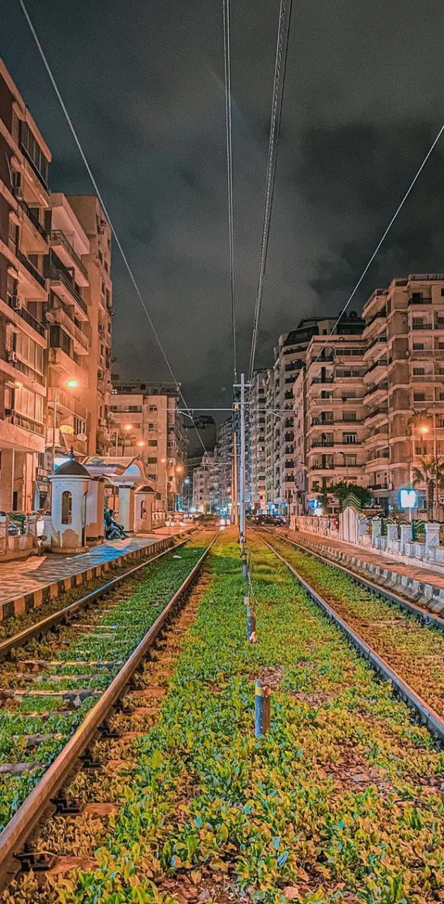 Alexandria on night 