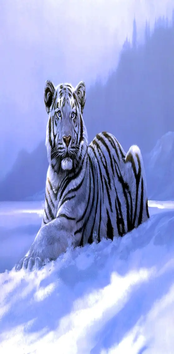 White  Tiger