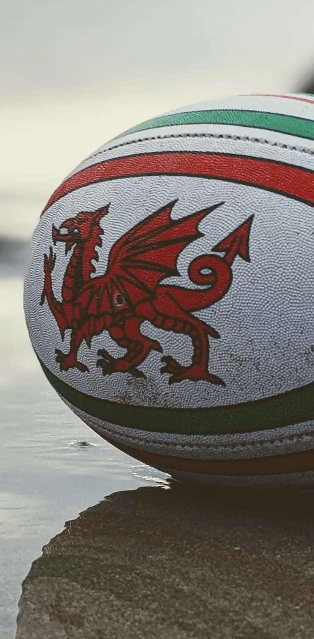 Welsh Rugby