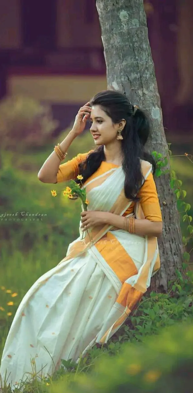 Beauty the saree