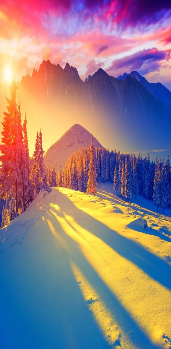 Beautiful Winterscap