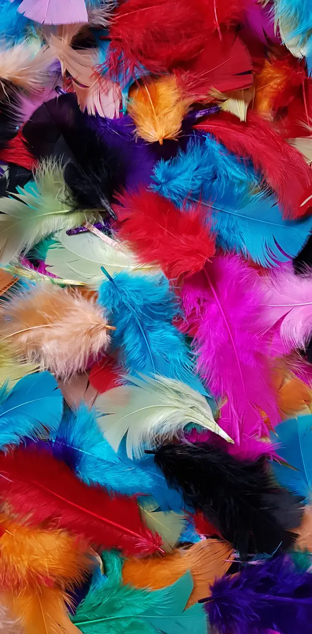 Beauty feathers