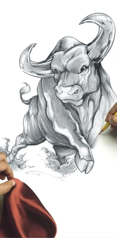 Bull Art