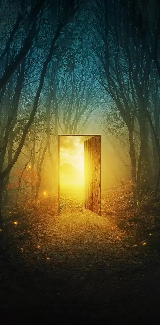 Dream Door 