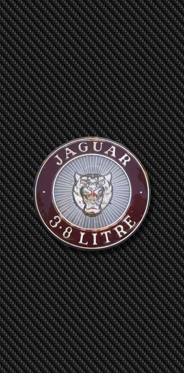 Jaguar Mk2 Carbon