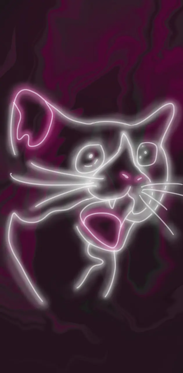 Funny neon cat