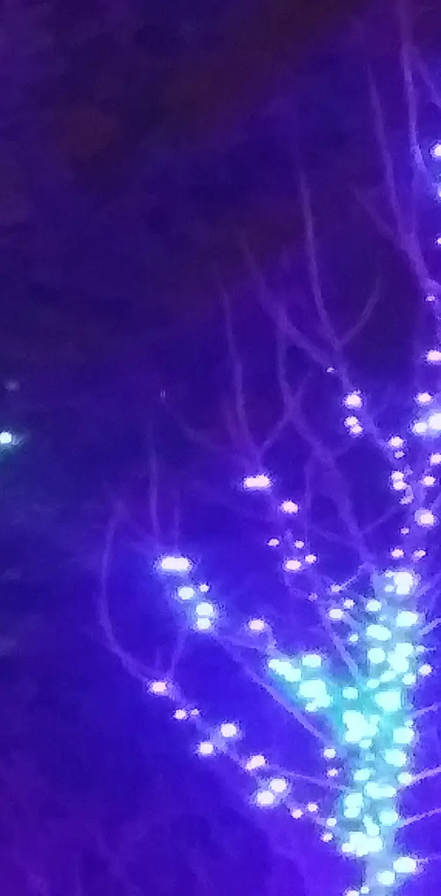 Blue Tree Lights