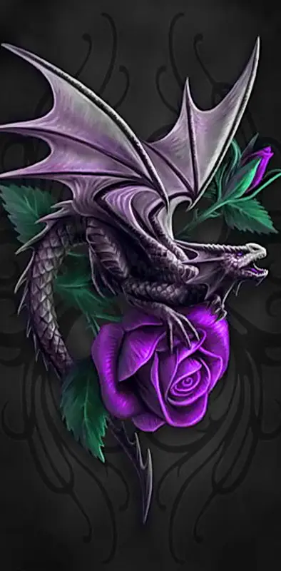 Dragon And Rose