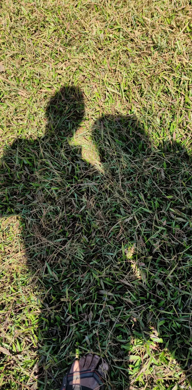 Shadow Couple