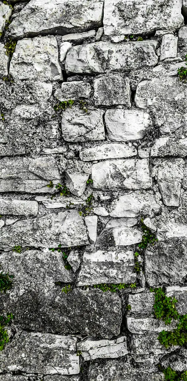 Wall from rocks 5
