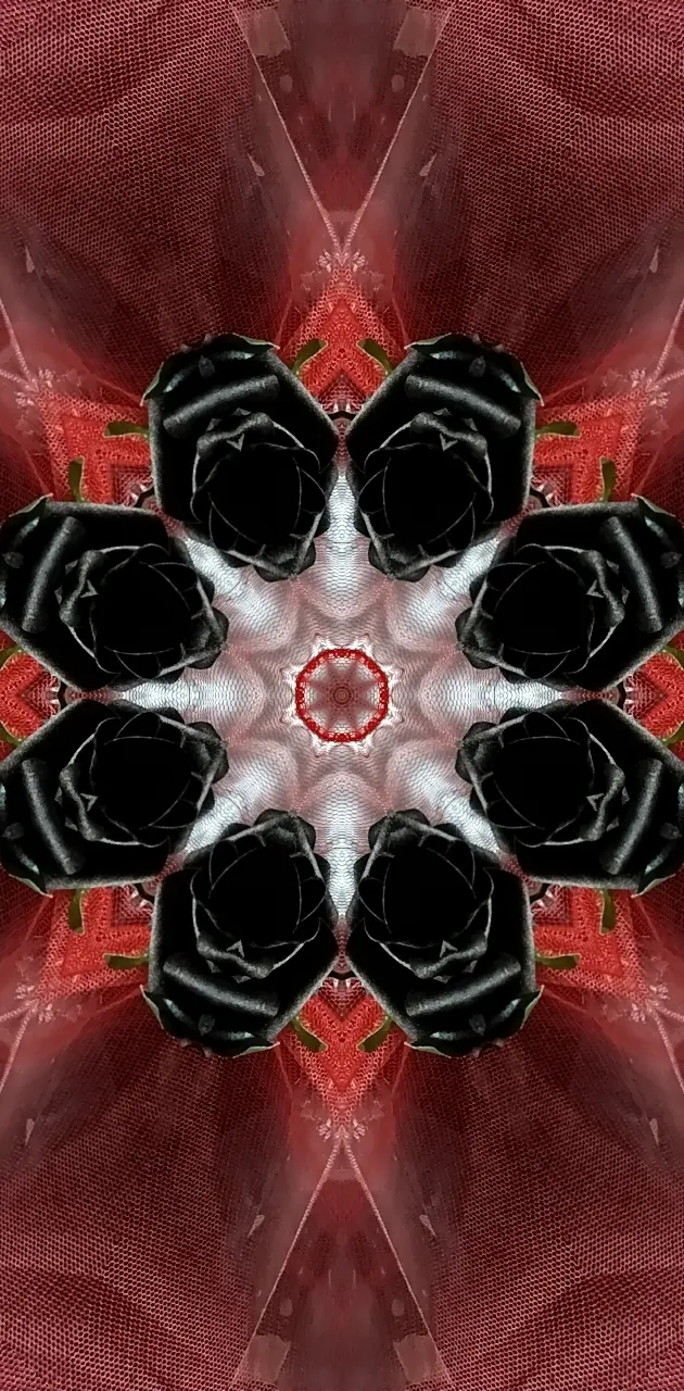 Black Rose kaleidoscope