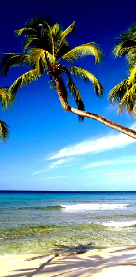 Barbados West Coast