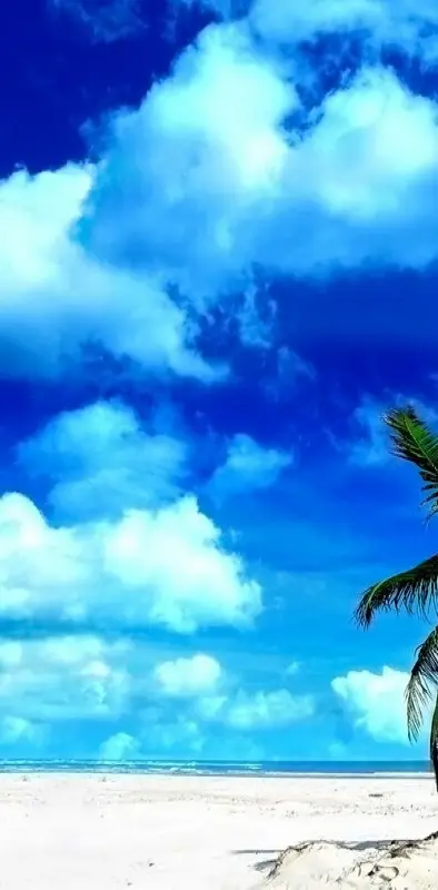 The Palm Tree Skies