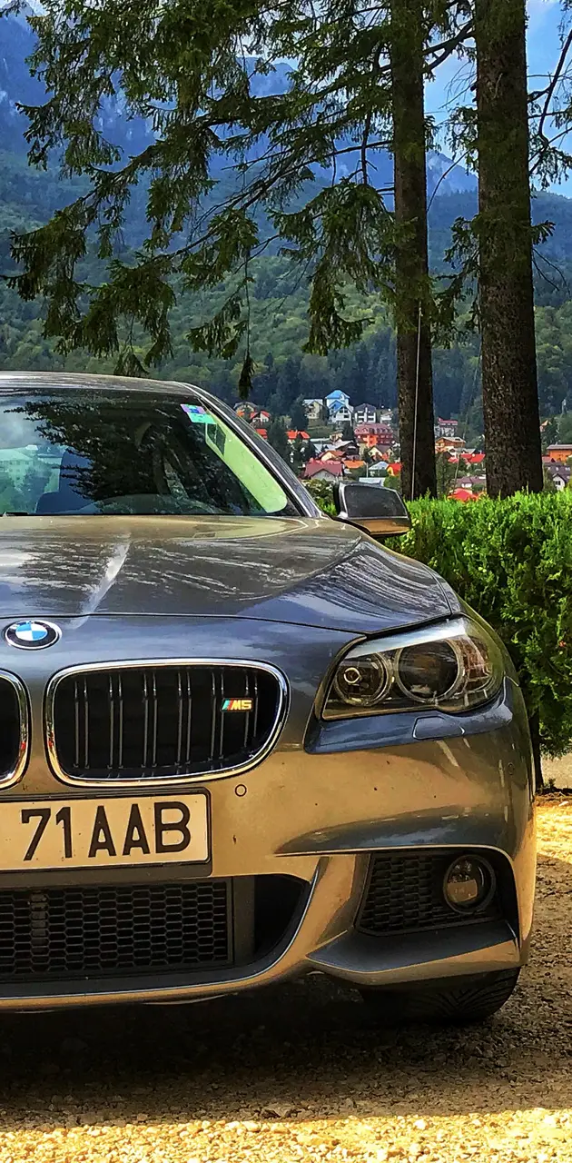 BMW F10 AAB