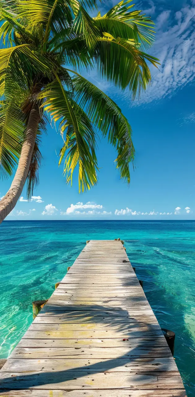 A wooden pier extending into beach water with palm trees