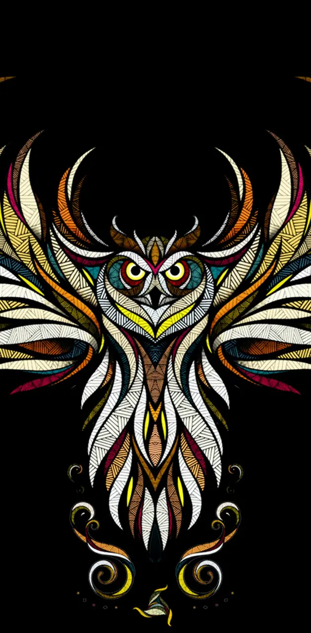 owl b