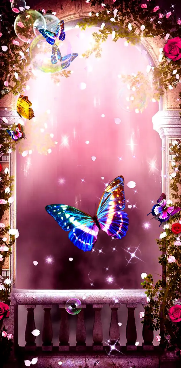 colorful butterfly wallpapers