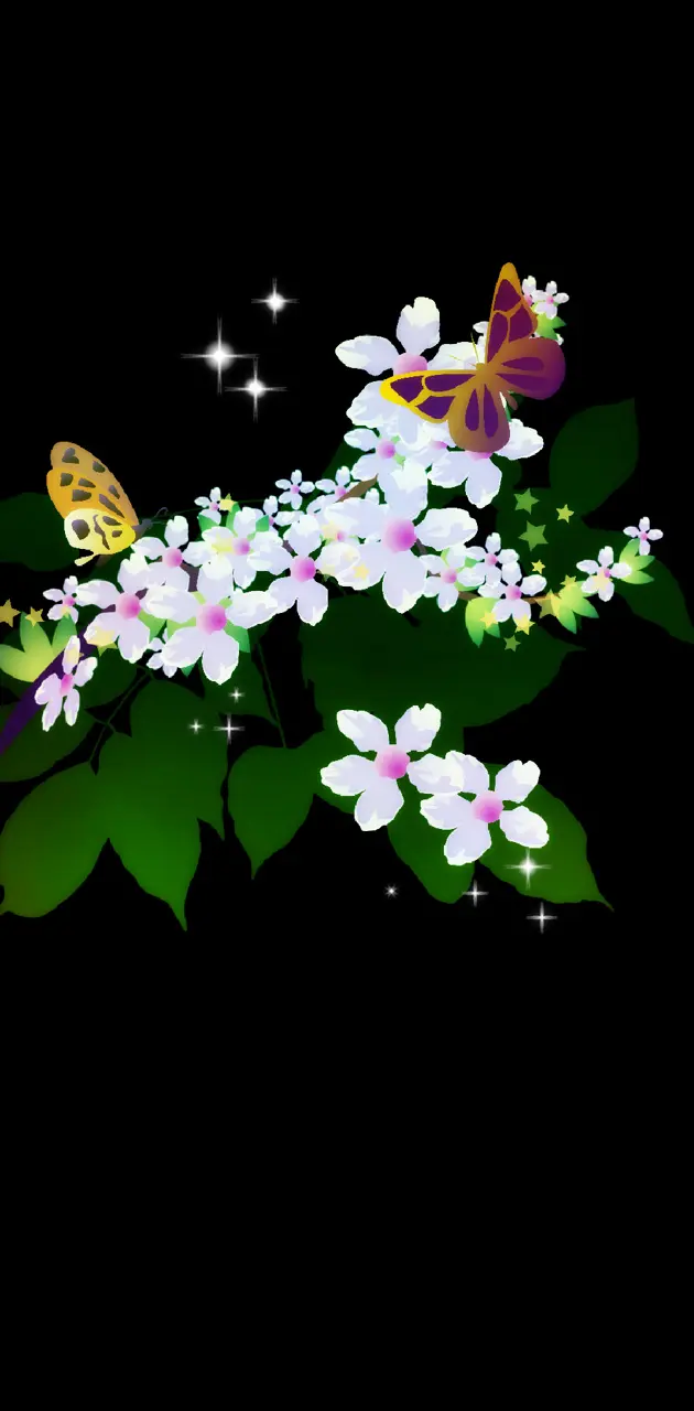 Sweet Butterfly 2