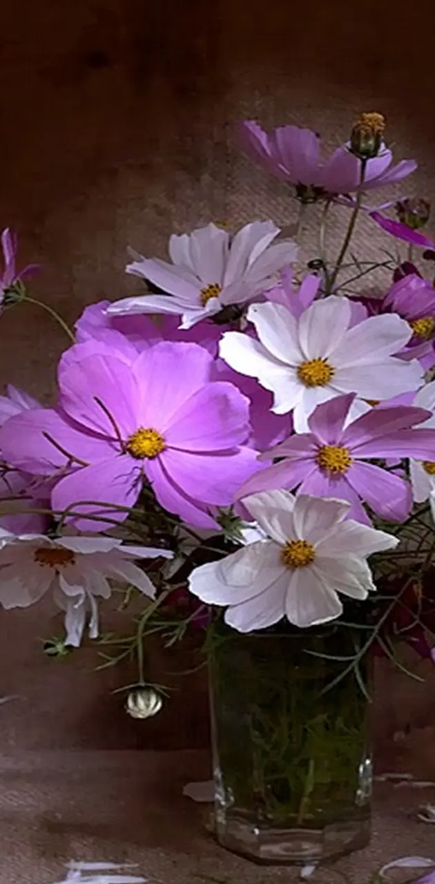Purple  Flowers