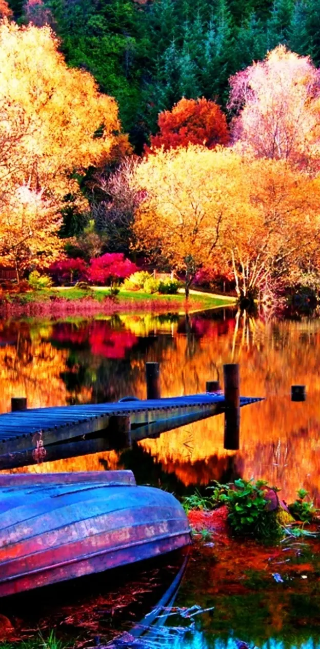 Colorful Autumn Day