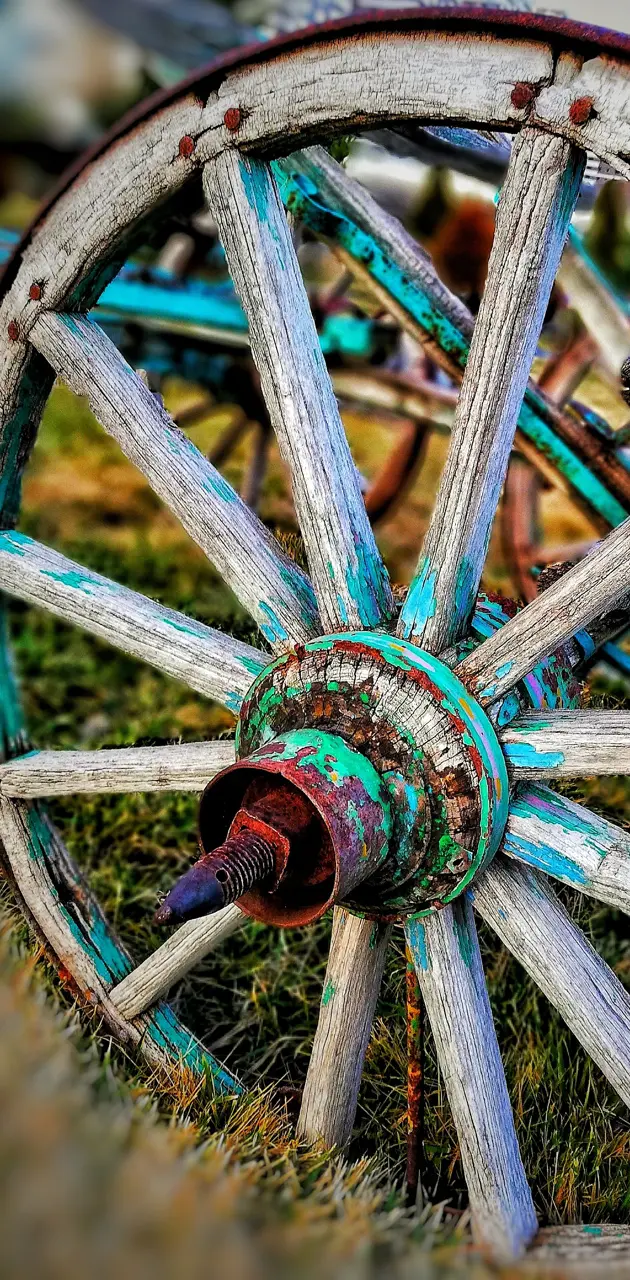 wheel 