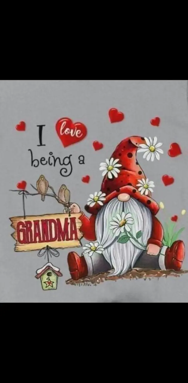 Grandma gnome
