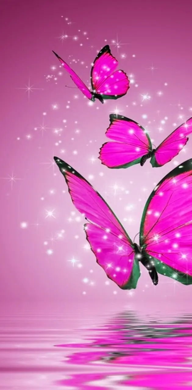 pink butterflies
