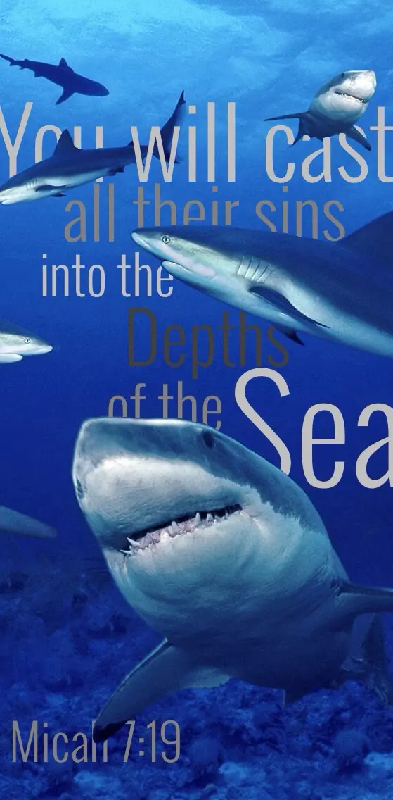 Sins in the Sea