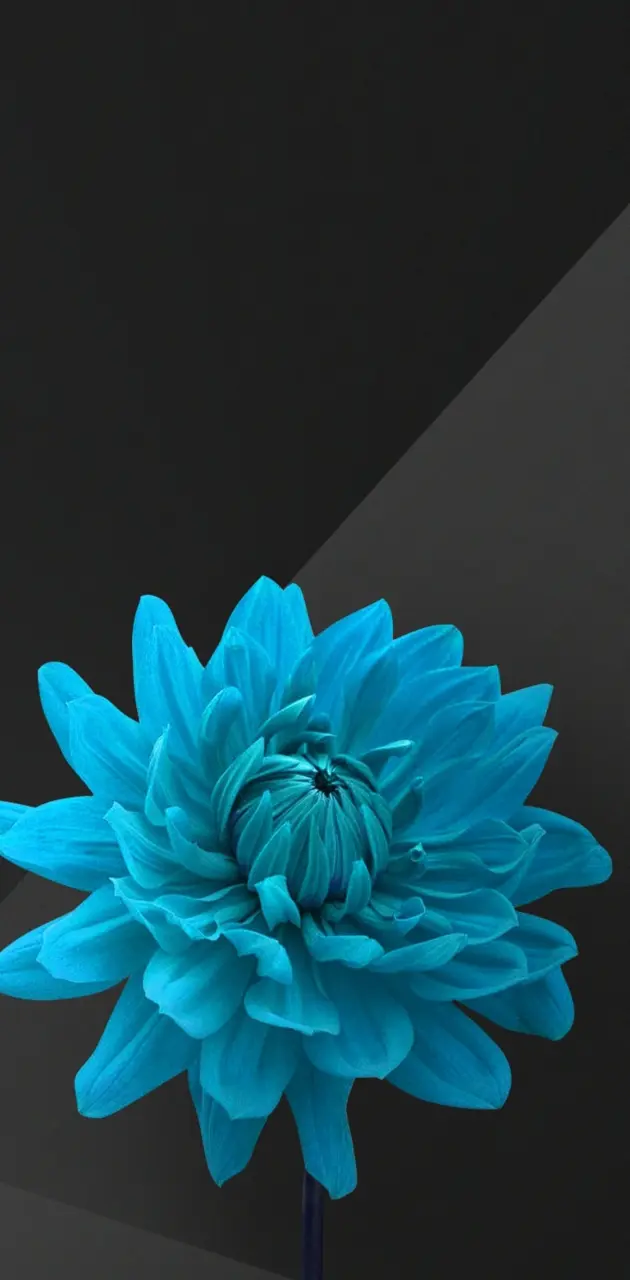 Turquoise Flower 