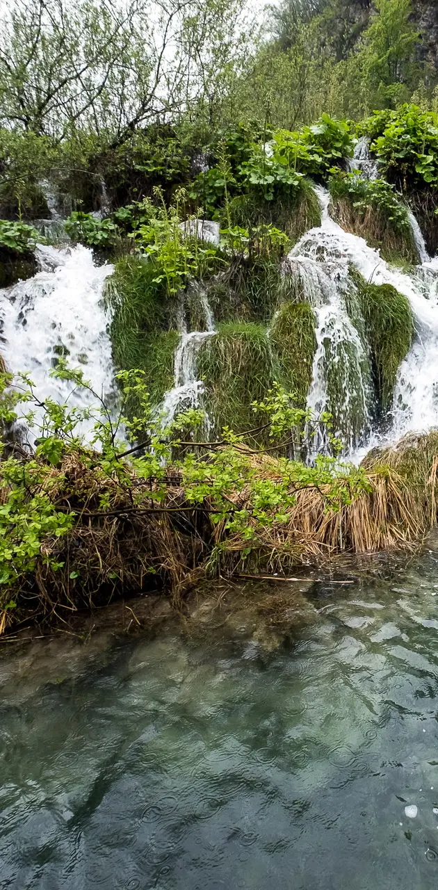 Plitvice Park Stream
