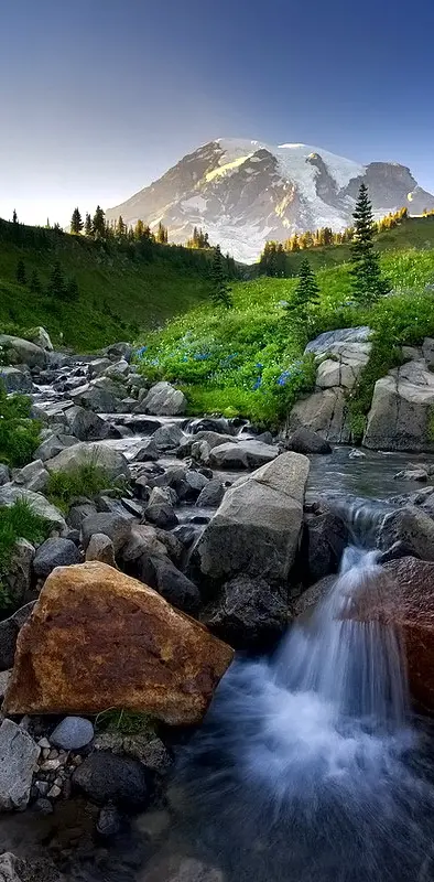 Beautiful Nature