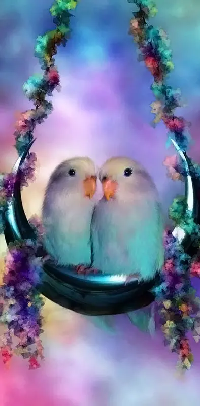 love birds wallpapers