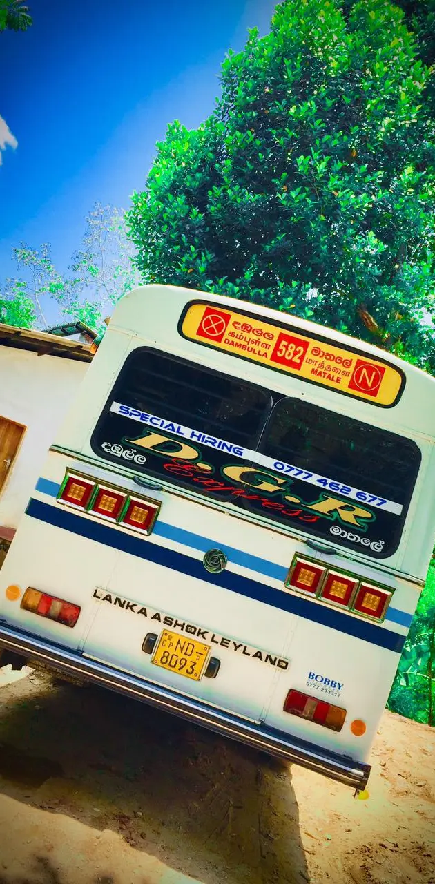 Bus wallpaper 