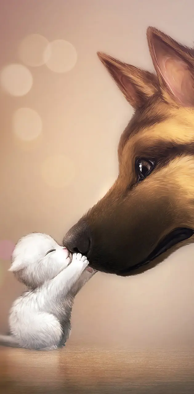 Kitty and dog