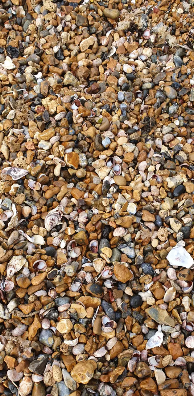 Beach pebbles 