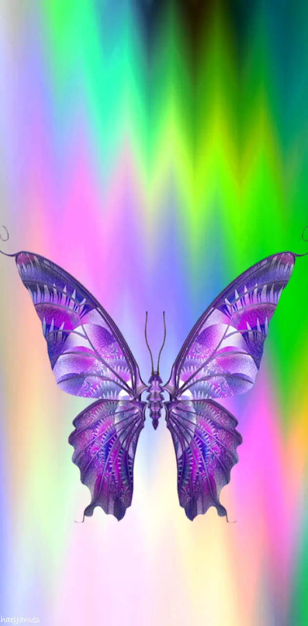 rainbows and butterflies wallpaper