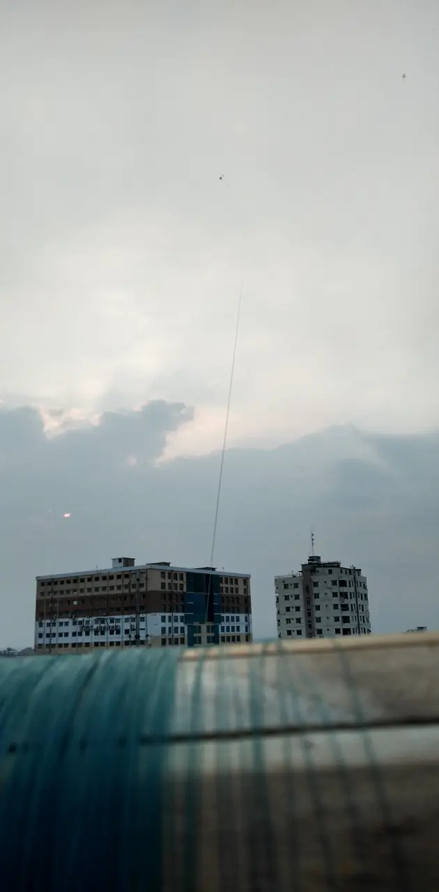 Kite in Dhaka sky
