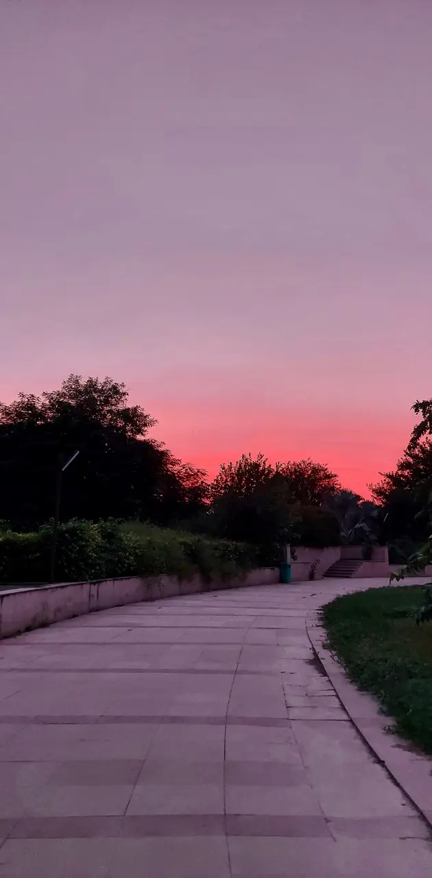 A walk into the sunset