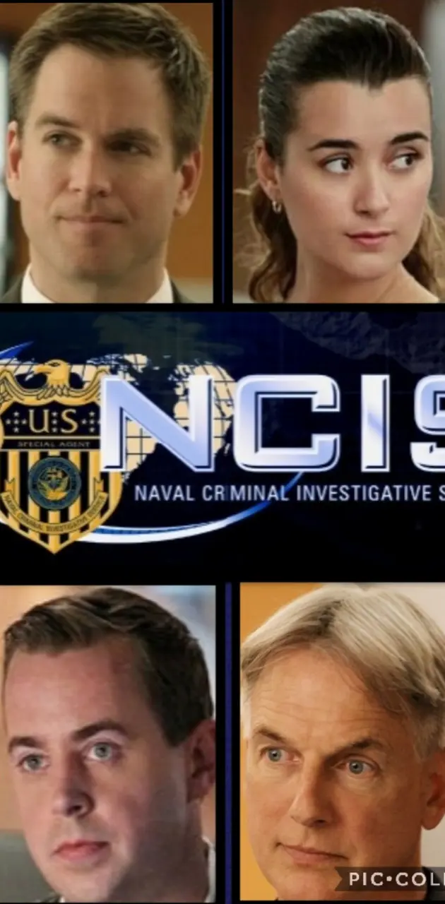 NCIS the team