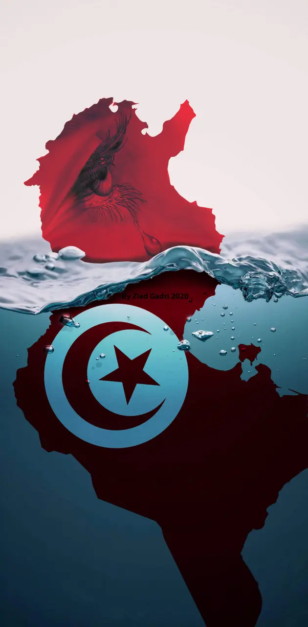 Tunisia is sinking