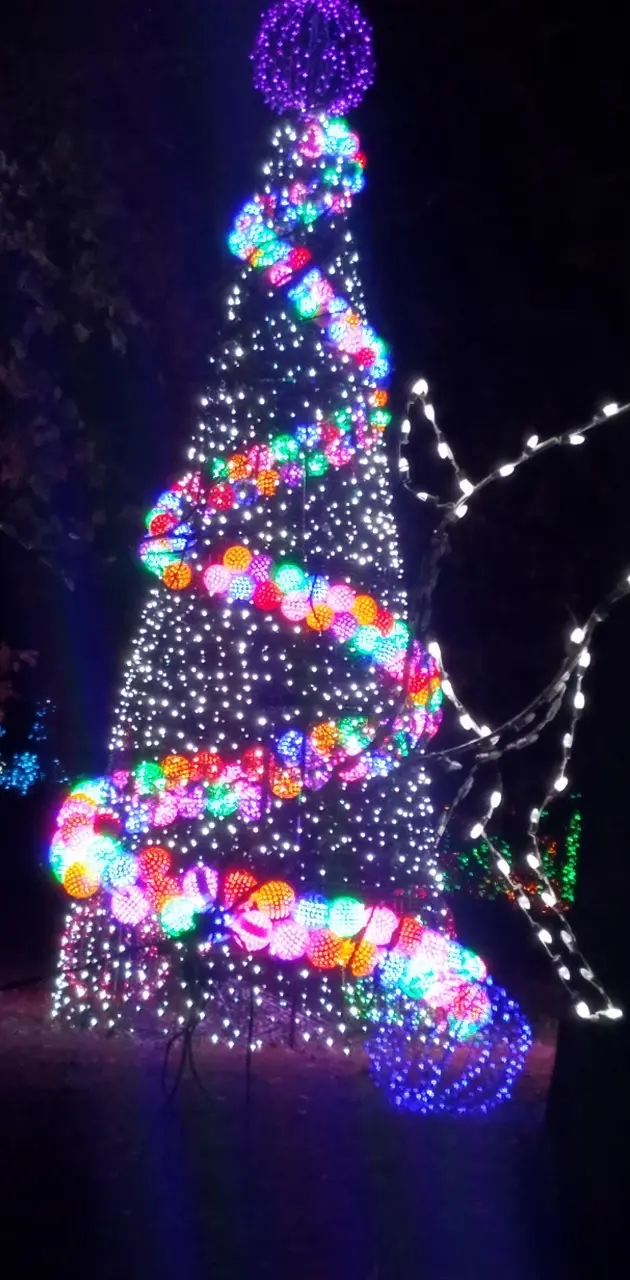 Lighted tree