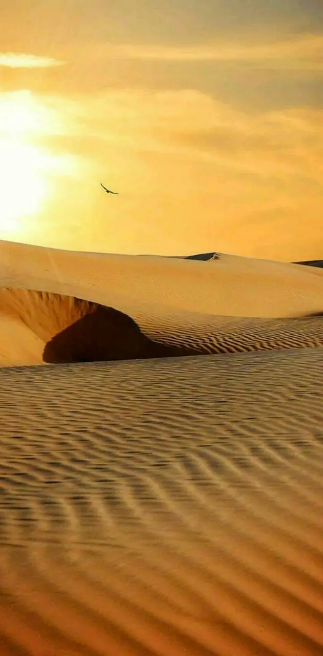 Desert sunsets