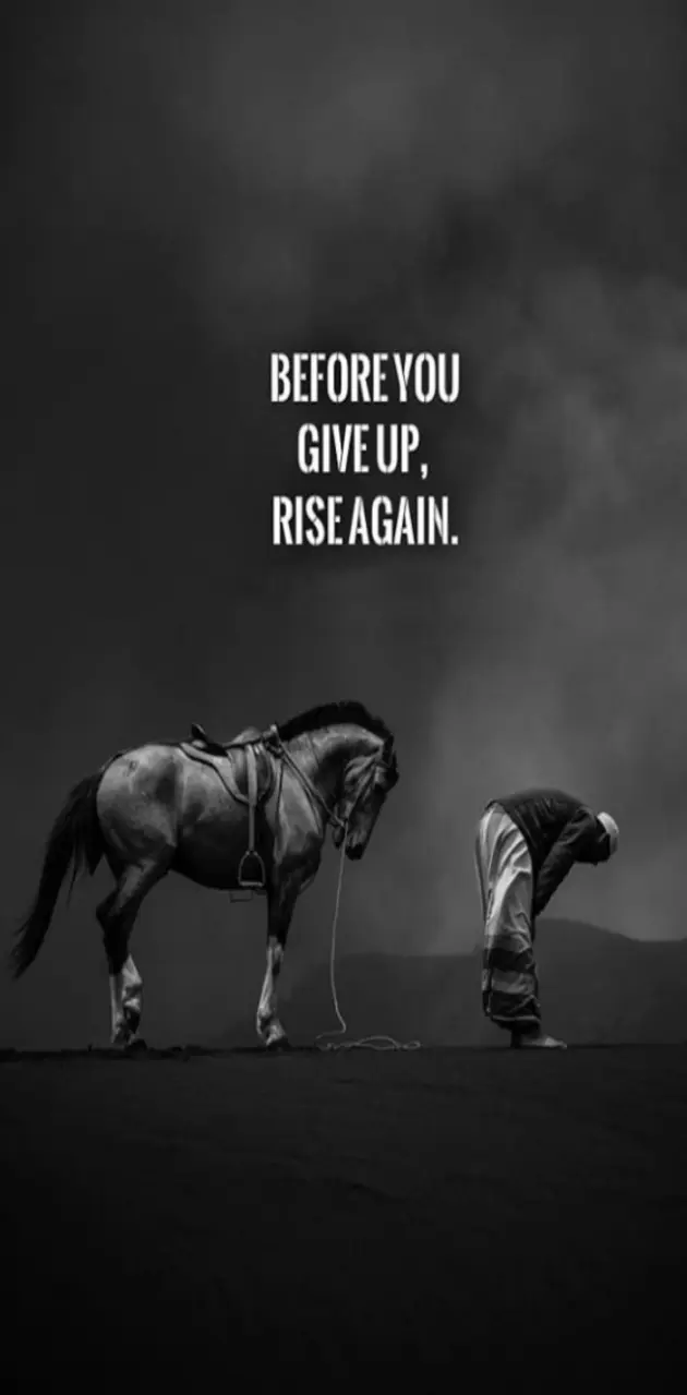 Rise again