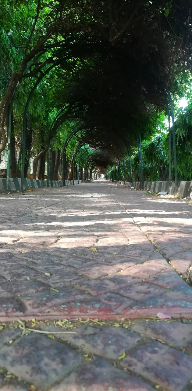 Green walkway