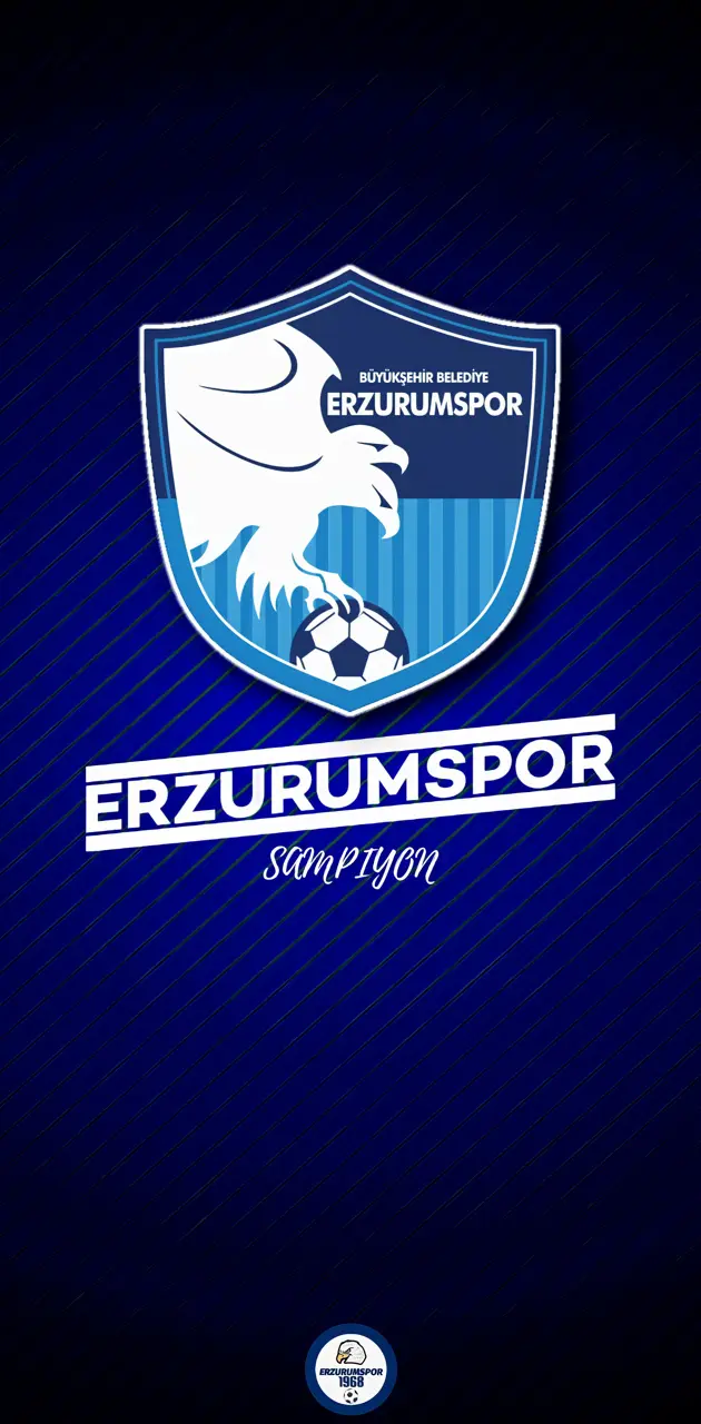 Erzurumspor