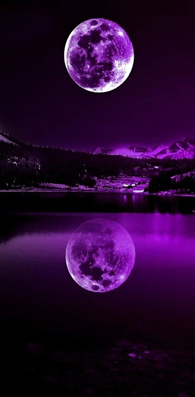 Nighttime Purple