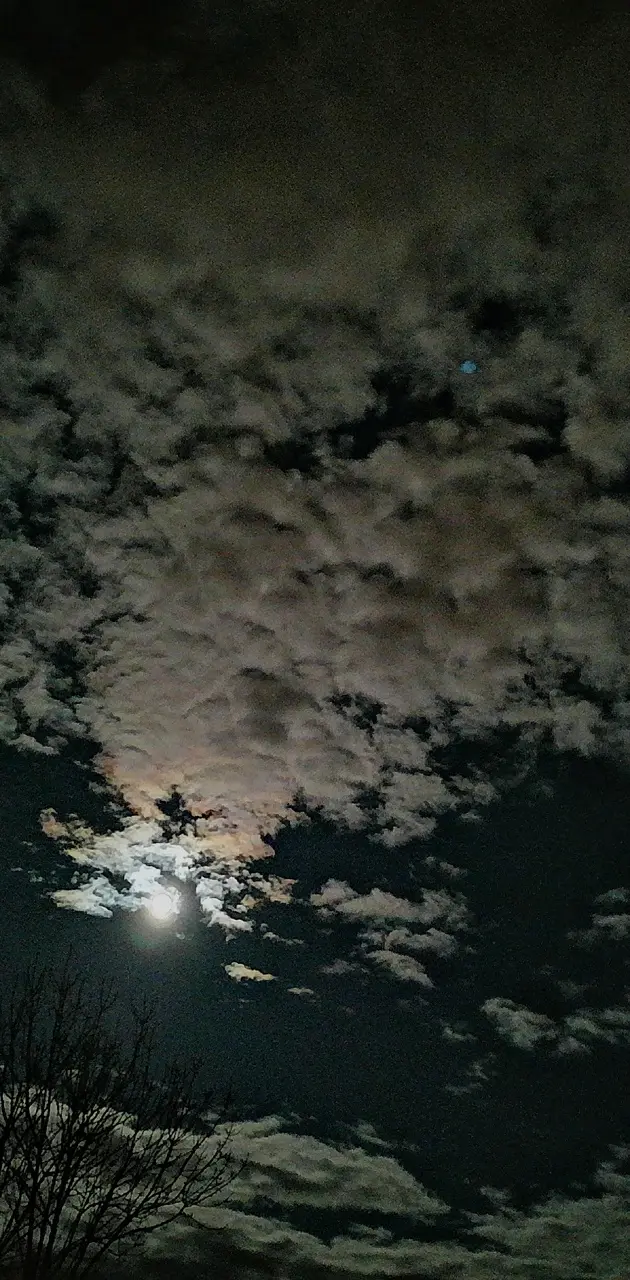 Bulut ve gece
