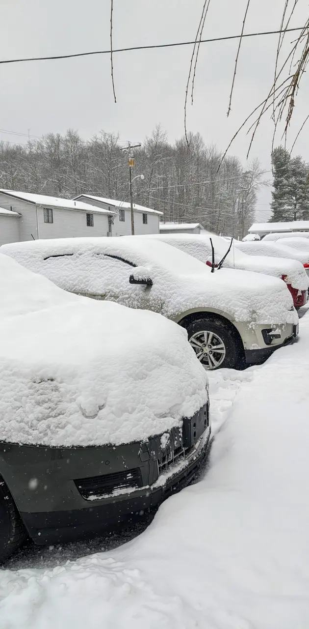 Snow covered cars 